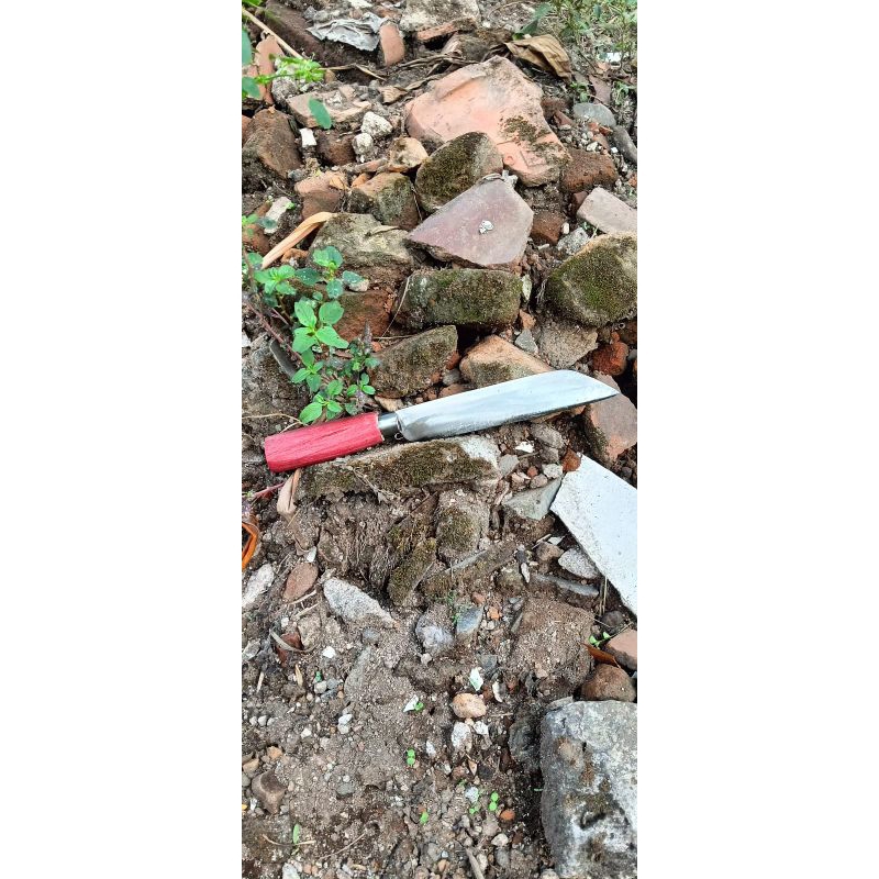 Pisau Dapur Pisau Seset Daging Super Tajam