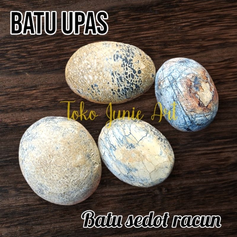 BATU ANTI WISA JUMBO / BATU ANTI RACUN NEMPEL KULIT