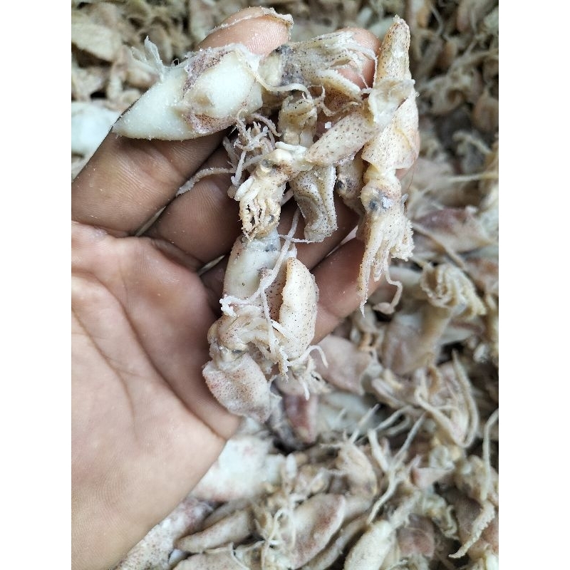 

ikan asin Beby cumi empuk- 1 KG / Cumi Asin / Cumi Enak / Ikan Asin / Cumi Asin Murah / Cumi Gurih- 1 KG/ Cumi Asin 1 kg Murah