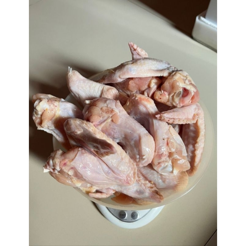 

Sayap Ayam