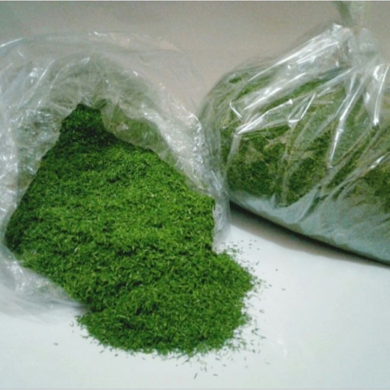 Rumput Maket Miniatur Diorams