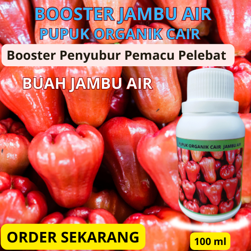 Pupuk Jambu Air | Pupuk Booster Pemacu Penyubur Pelebat Buah Jambu Air | Pupuk Organik Khusus Jambu