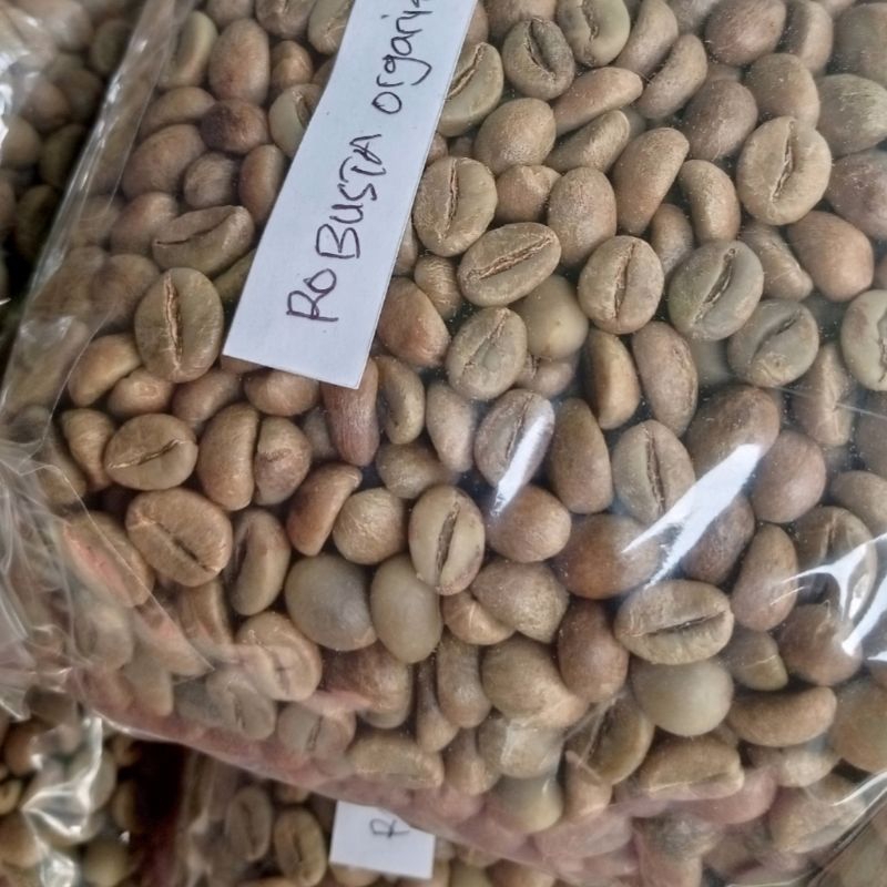 

Biji kopi robusta temanggung grade A super petik merah green Bean robusta