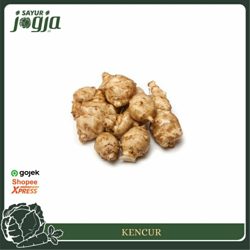 

Rempah Kencur 50g