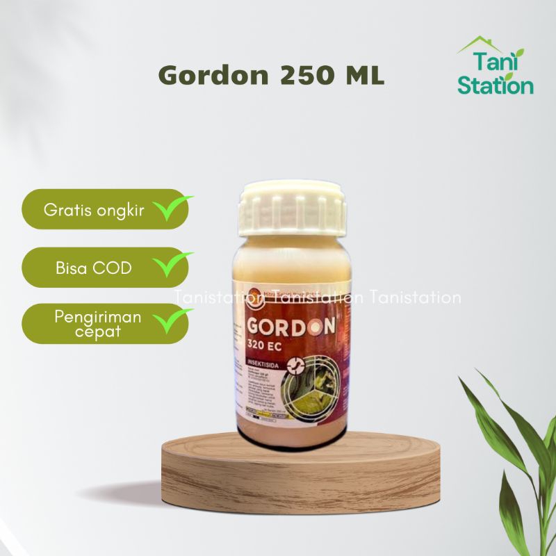 INSEKTISIDA GORDON 250ML