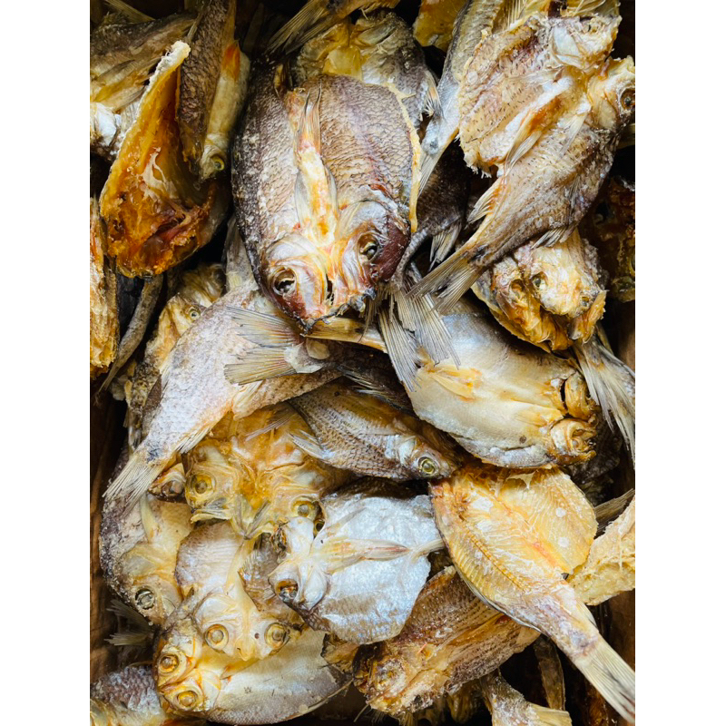 

IKAN ASIN TEMBAKANG
