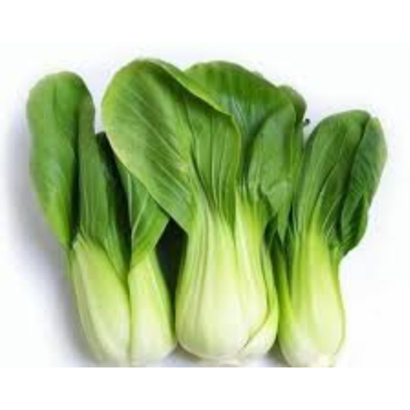 

sayur pokcoy