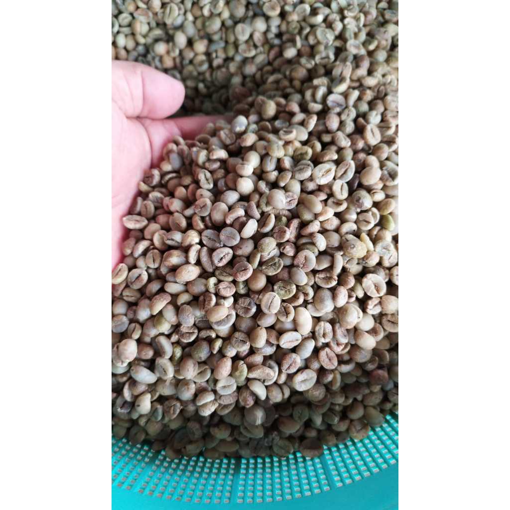 

p4yu Greenbean Robusta Biji Kopi Mentah Asalan Sortasi 1kg