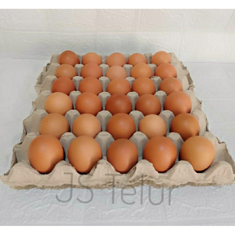 

TELUR AYAM NEGERI FRESH 1 tray/papan isi 30 butir (1500-1600gram)