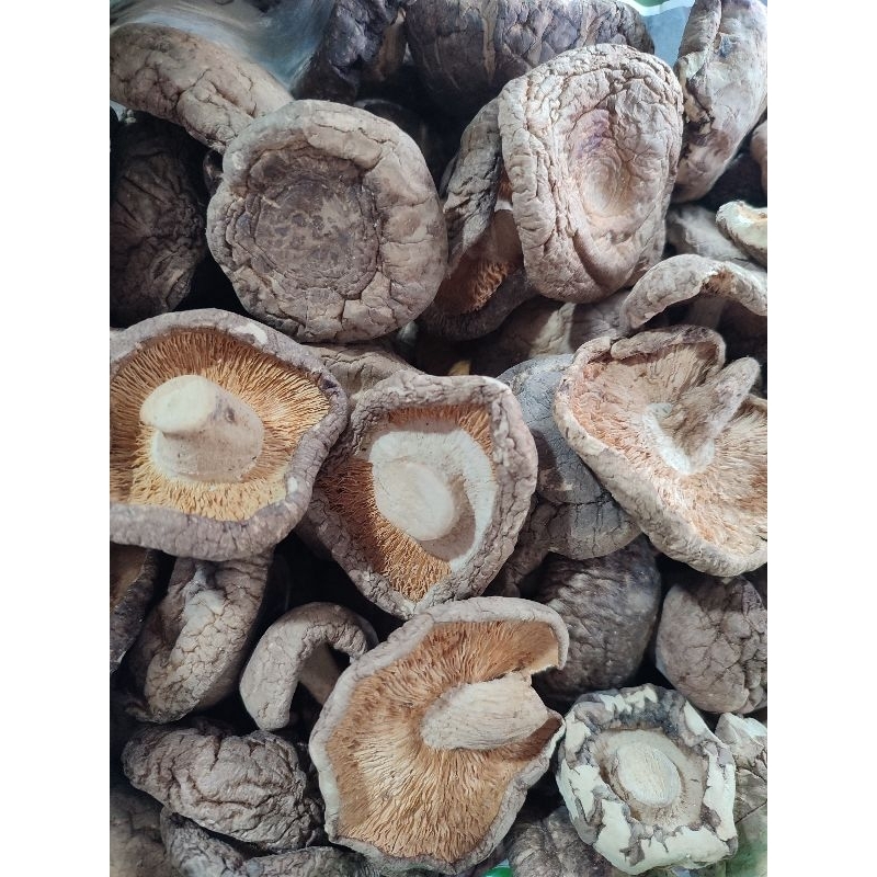 

Jamur Shitake Kering / Jamur Payung / Jamur Hioko Grade Premium 5 cm - Per 100 gr