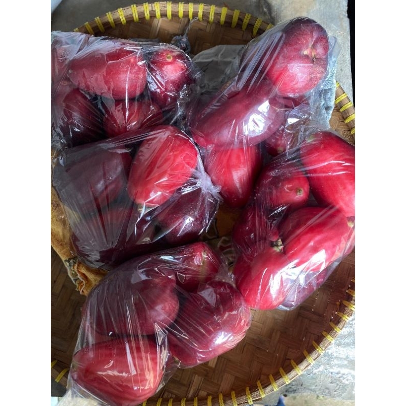 

Jambu Jamaika