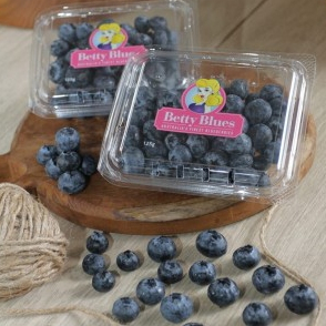 

BLUEBERRY JUMBO BETTY BLUE - BLUEBERRY IMPORT - SUKABUAH