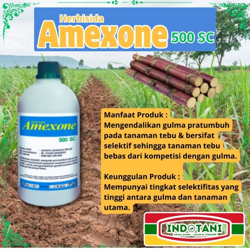 HERBISIDA AMEXONE 500 SC