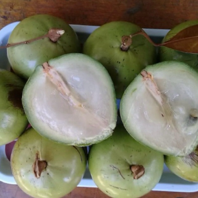 

Buah Kenitu Manis/Buah Genitu/ Buah Ginitu Manis Fresh/ Buah Manecu Manis/ Buah Sawo Hijau Manis Fresh/ Buah Sawo Susu/Buah Sawo Manila/ Buah Glitu/Buah Langka Buah Musiman 1 KG (KHUSUS AREA JAWA TIMUR) Melayani Via Gosend Instant