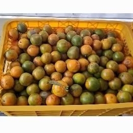 

Jeruk Siam 1kg