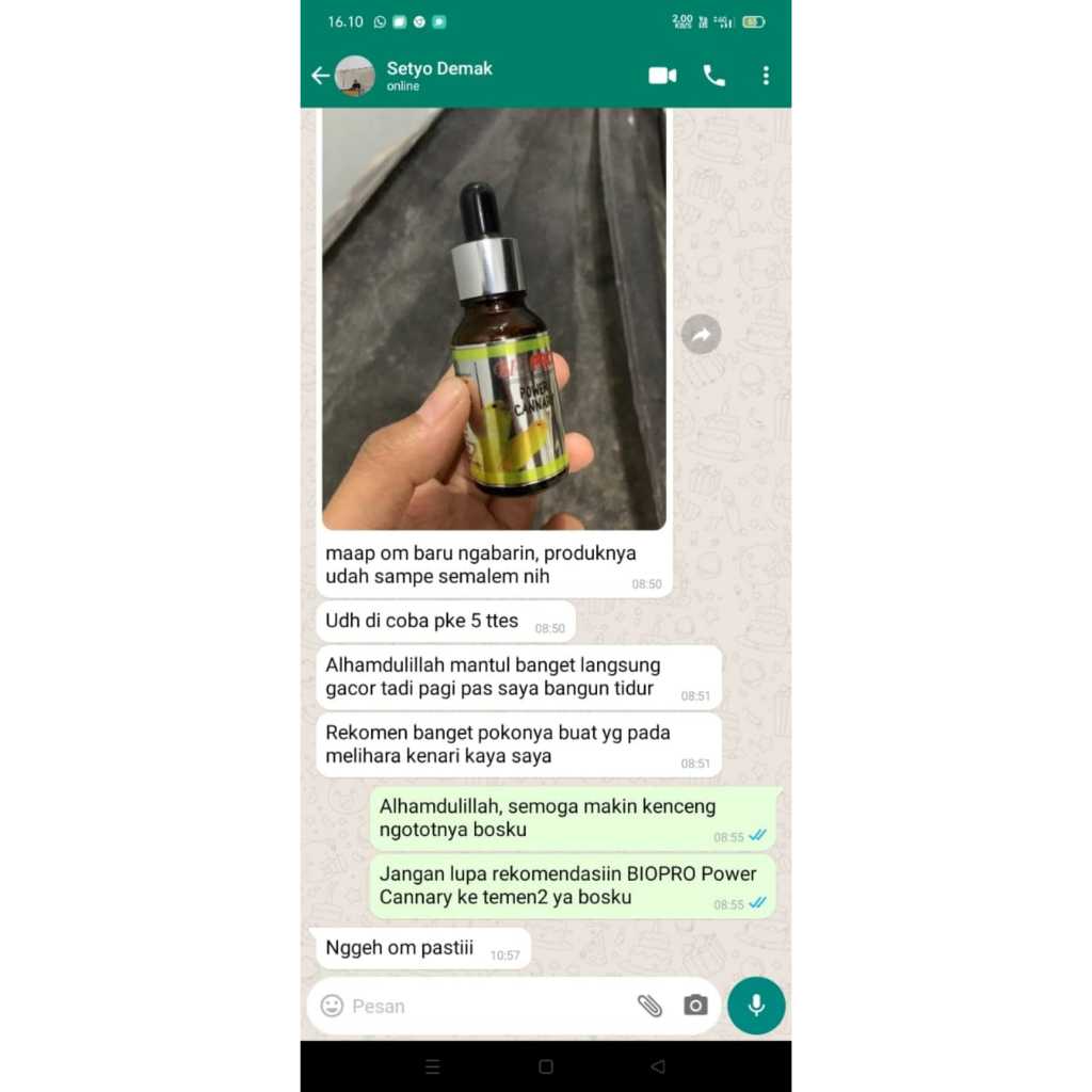 Gacor Penggacor Seketika Burung Kapas Tembak Biopro Power Kapas Tembak Jos Gantangan Terbukti Gercep