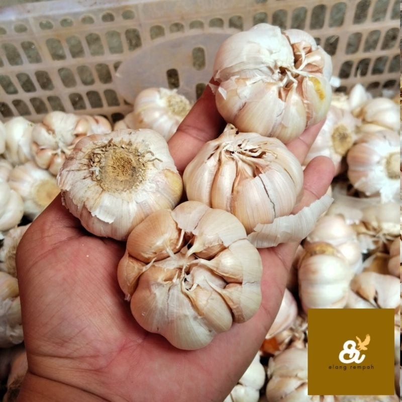 

BAWANG PUTIH HONAN 250 GRAM HONAN GARLIC BAWANG PUTIH BANCI