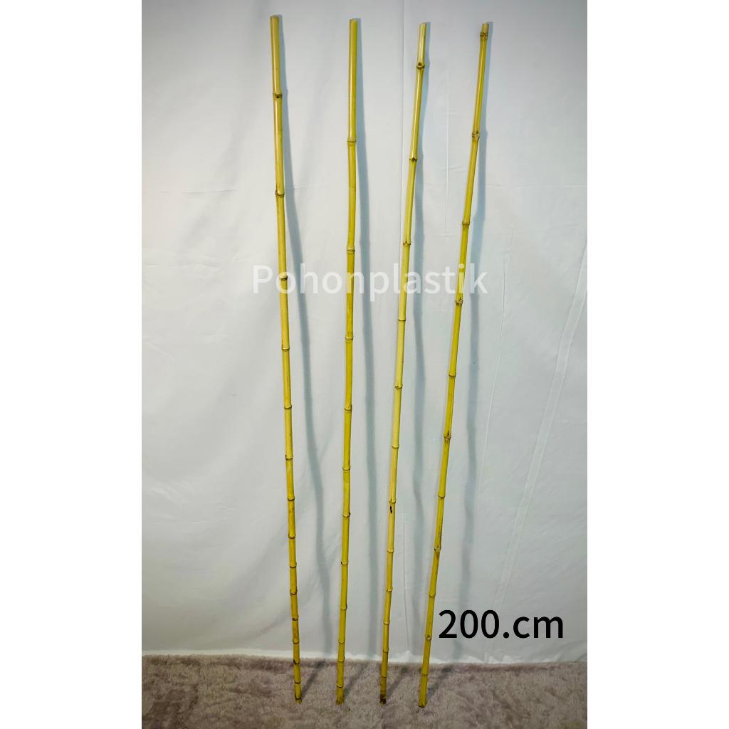 BAMBU ASLI CENDANI 2 METER / 1,5METER / 1 METER ( 1pcs ) diameter kecil & Besar ( 1cm sampai 3cm ) /