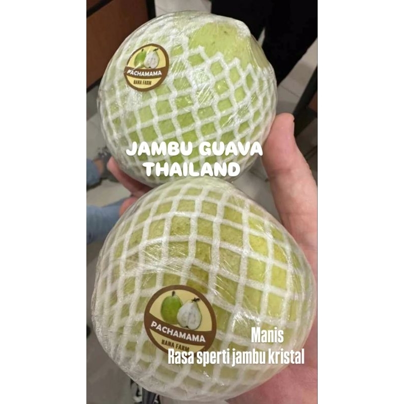 

JAMBU GUAVA THAILAND 1 KG MANIS