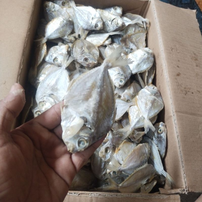 

IKAN ASIN PETEK 1 KG