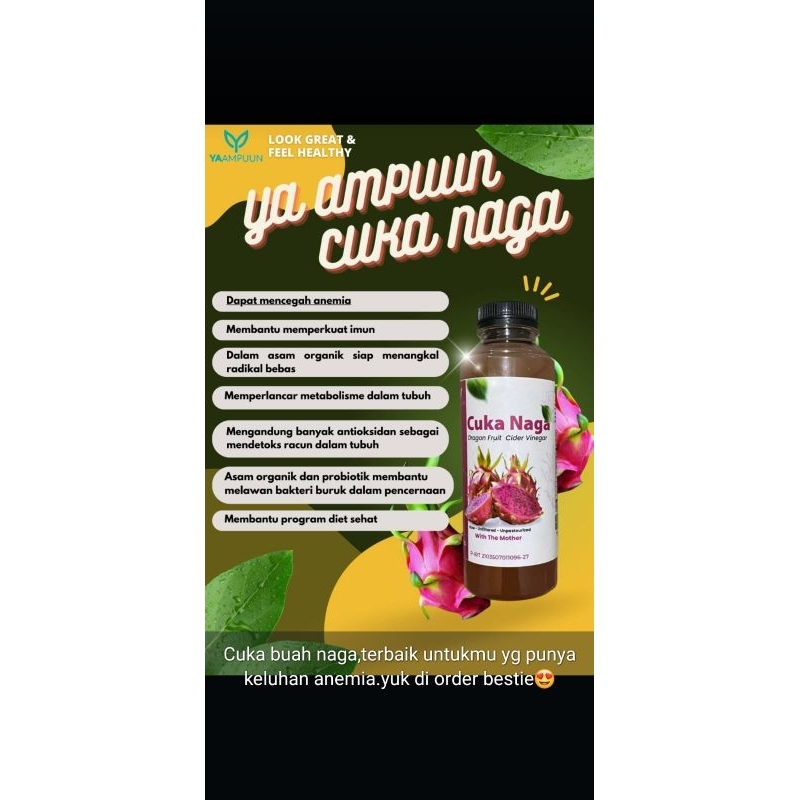 

Sari cuka naga