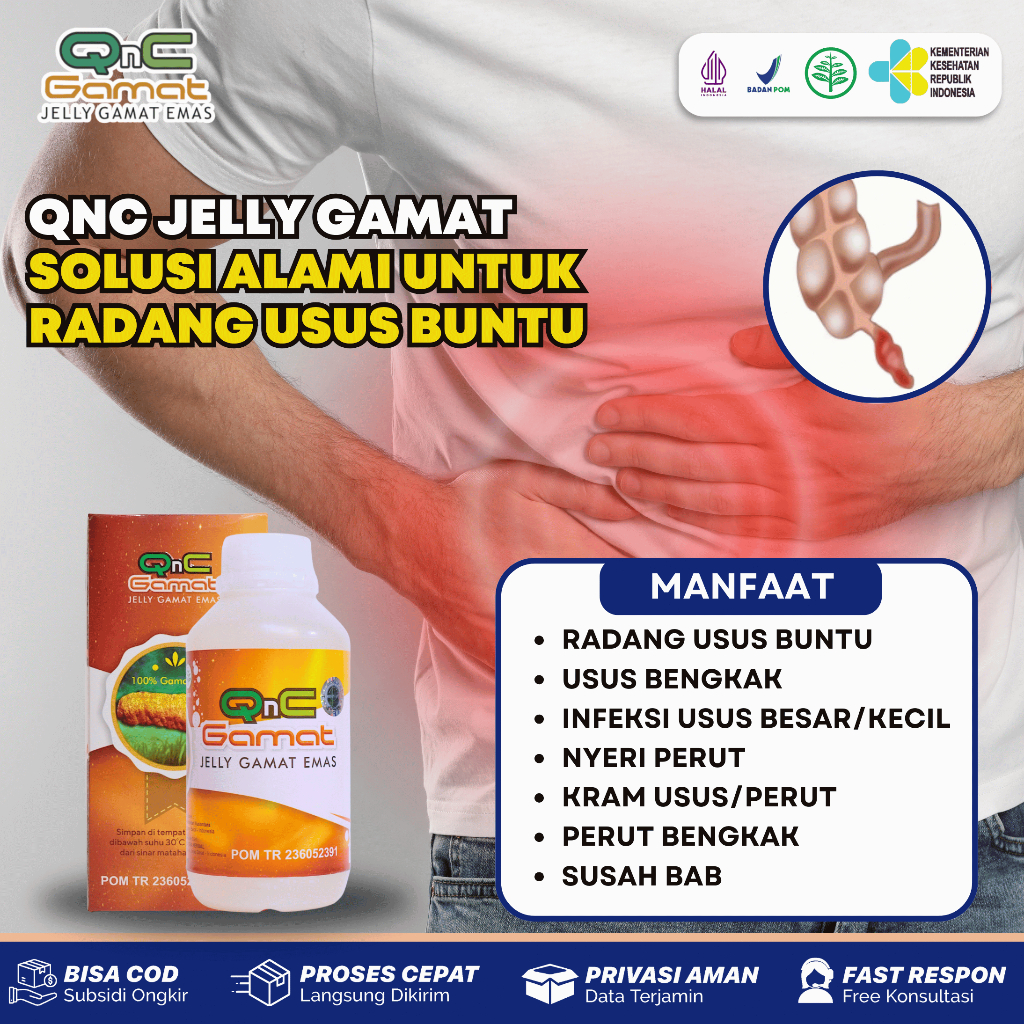 Obat Usus Buntu Radang Usus Besar Kecil Infeksi Hisprung Qnc Jelly Gamat