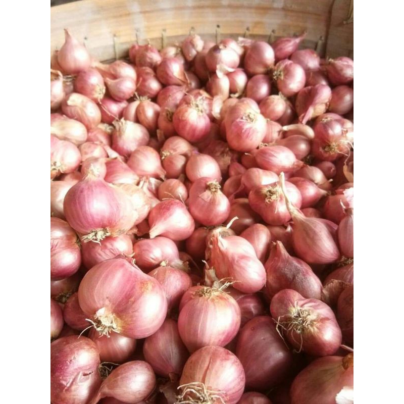 

Bawang Merah Lokal 1kg Langsung Petani