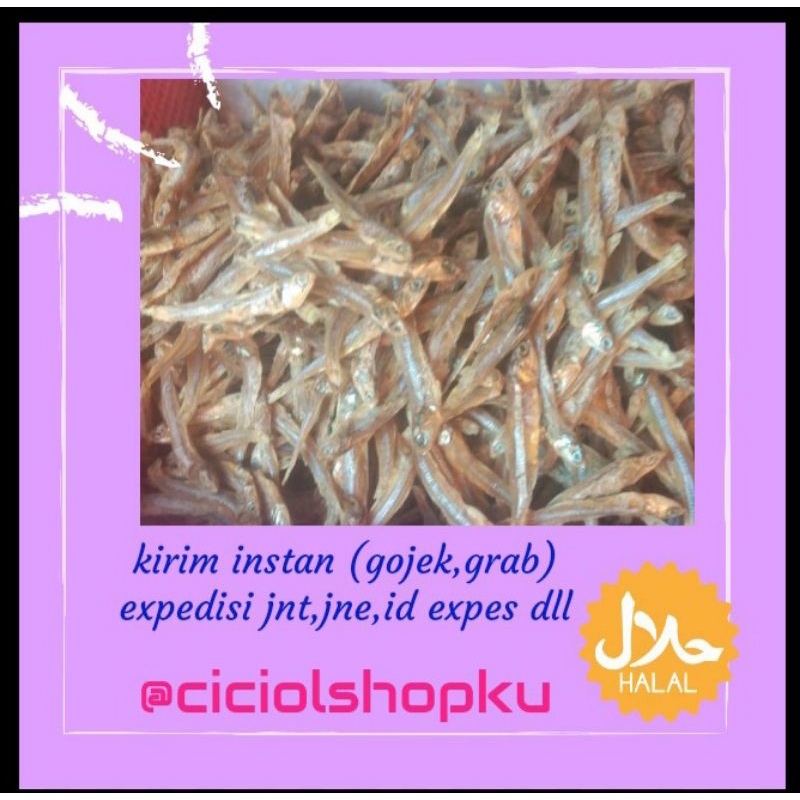 

ikan teri kasar