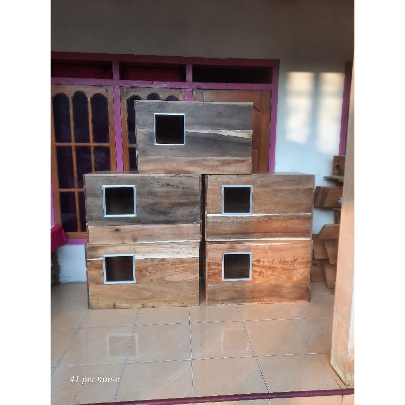 glodok sarang burung kotak paruh bengkok macaw, kakatua , jamkun ,nuri