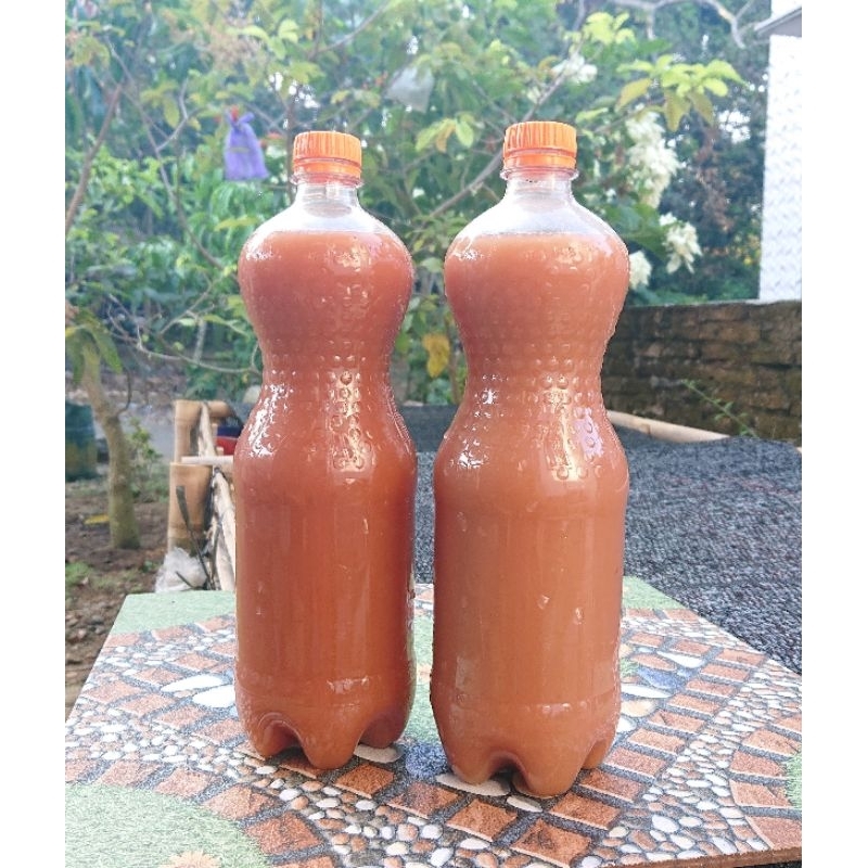 PSB bakteri fotosintesis 500ml