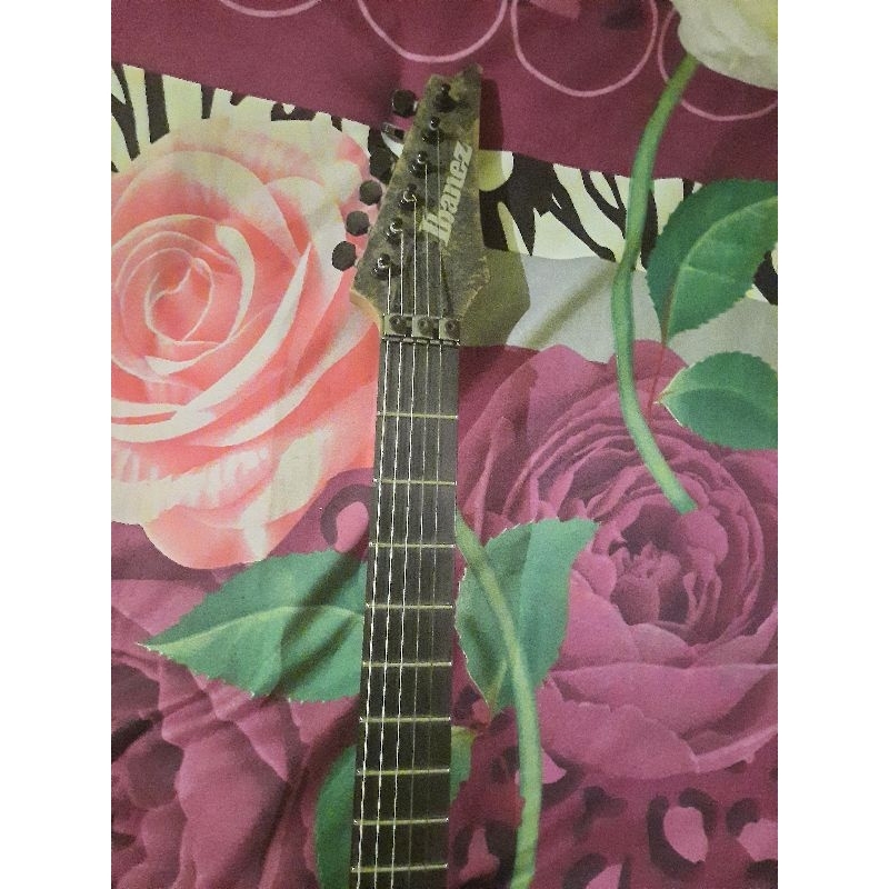 ibanez RGD