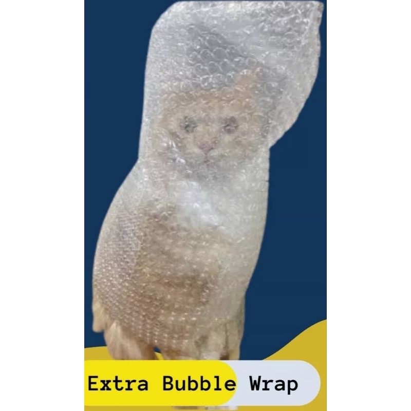 

BUBBLE WRAP UNTUK TAMBAHAN PACKING BIAR AMAN