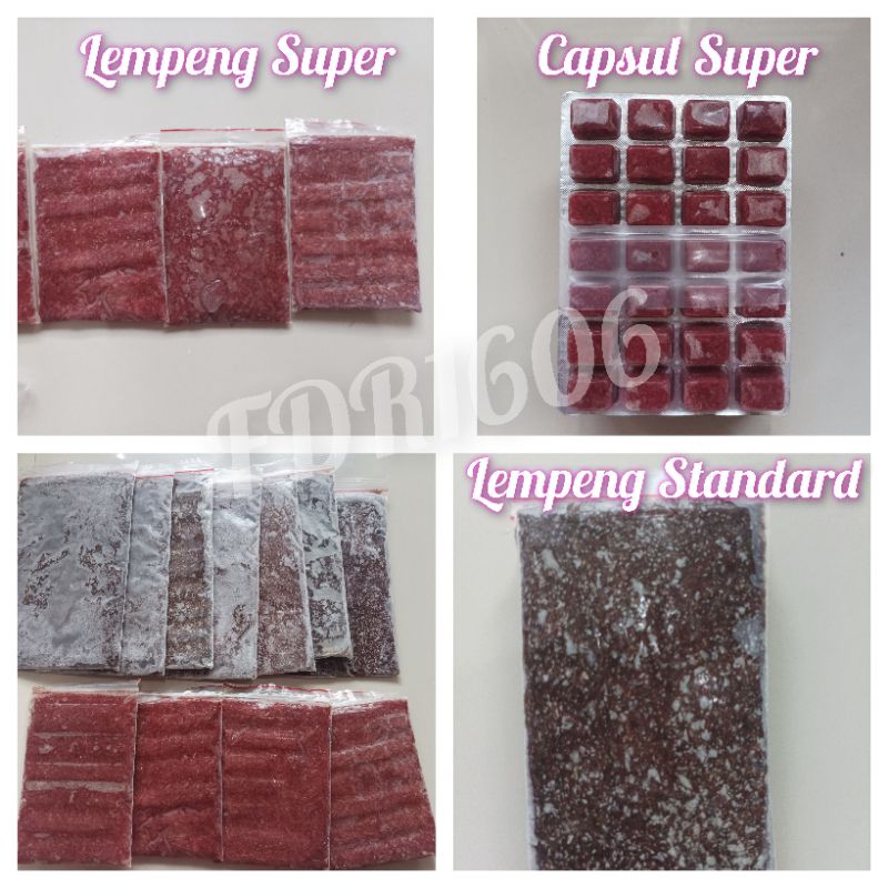 Cacing Beku Cabek Bersih Merah Fresh Makanan Ikan Hias Discus Lohan Chana