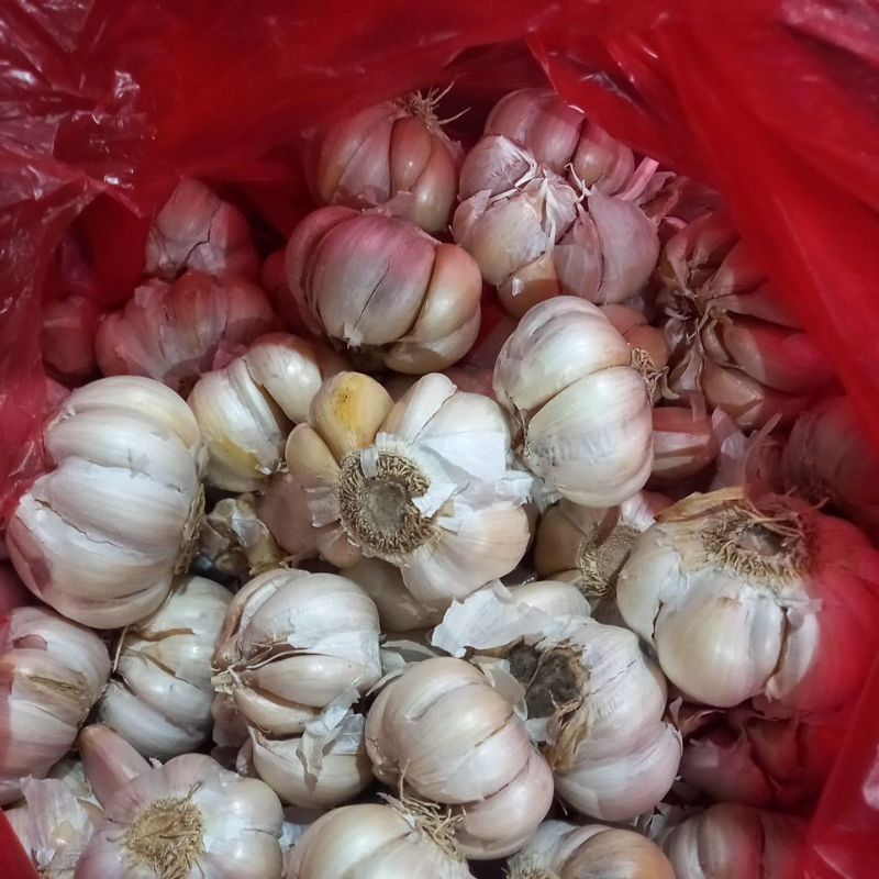 

bawang putih uk1kg