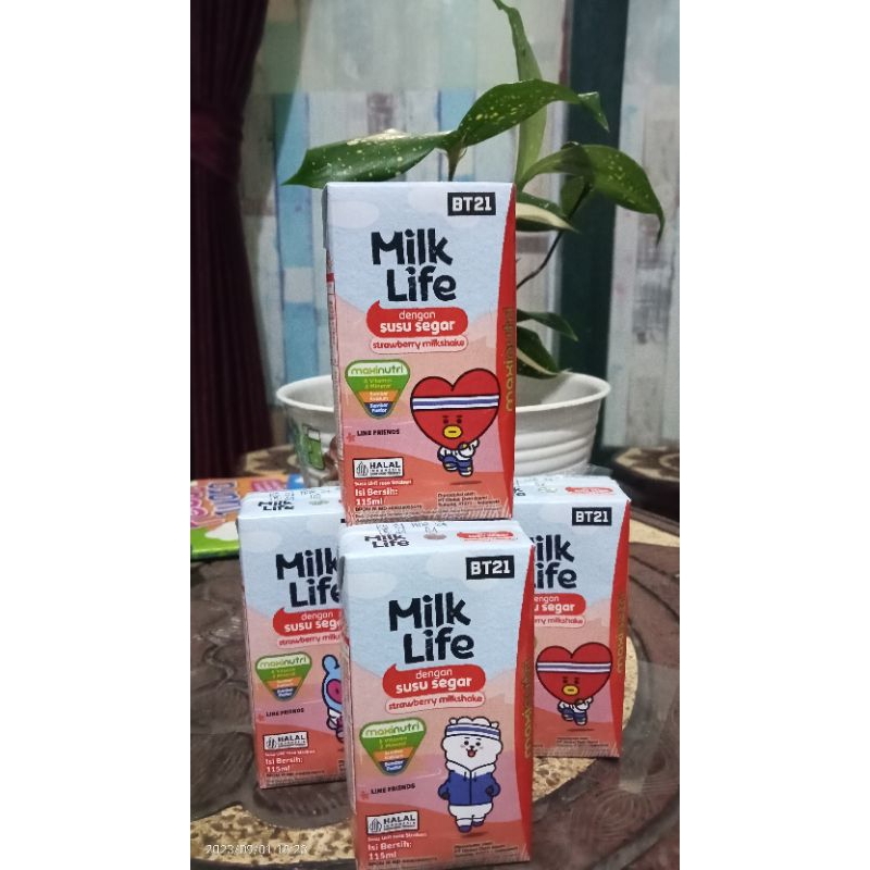

susu milk life isi 45