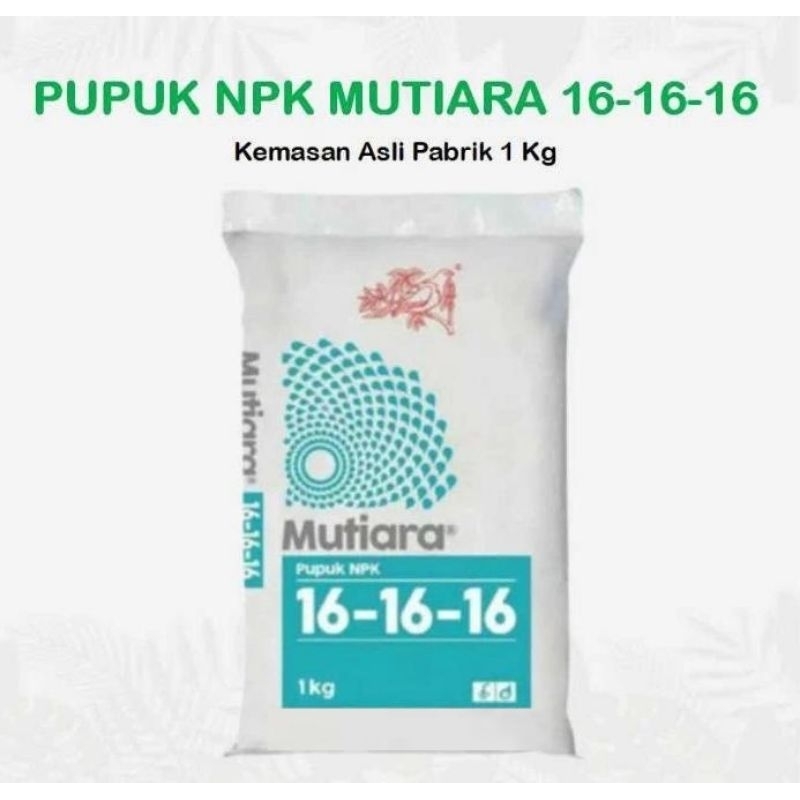PUPUK NPK Mutiara 16-16-16 1 Kg