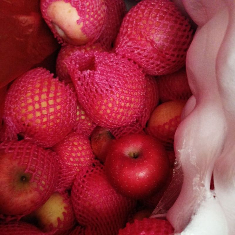 

APEL FUJI IMPOR (500 GR) lebih