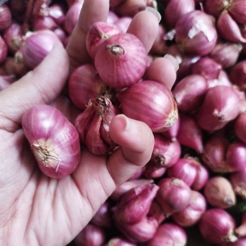 

bawang merah 1kg