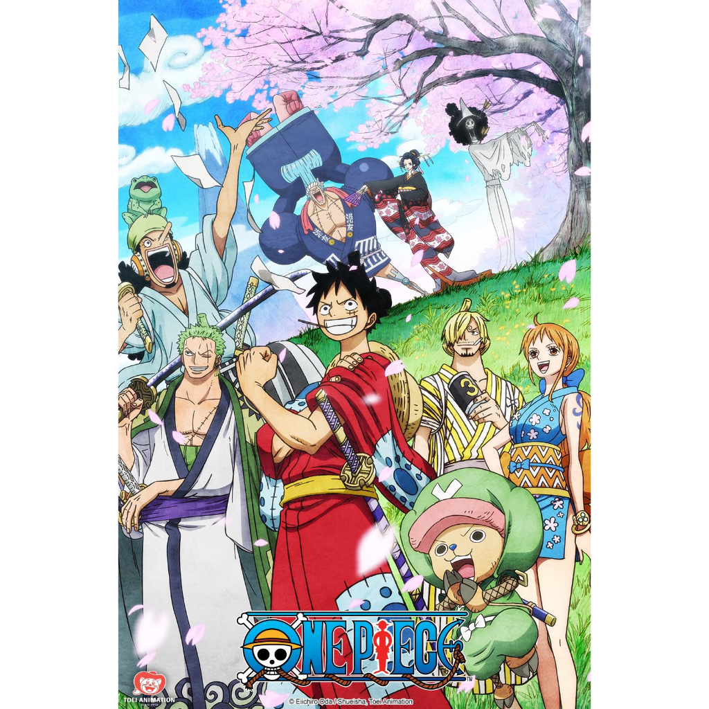 One Piece episode 926-1073 [DVD LAPTOP]