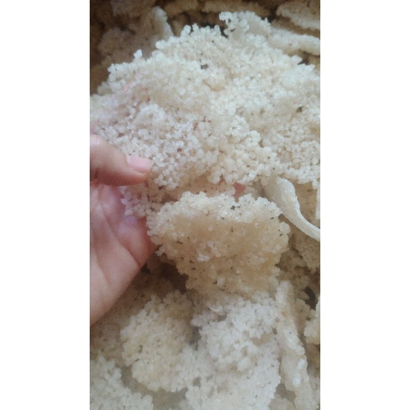 

rengginangsingkongeyek2