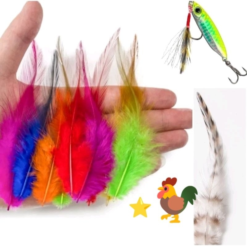 umpan bulu ayam jantan asli umpan bulu lencur leher ayam jantan umpan pancing umpan ikan umpan meman