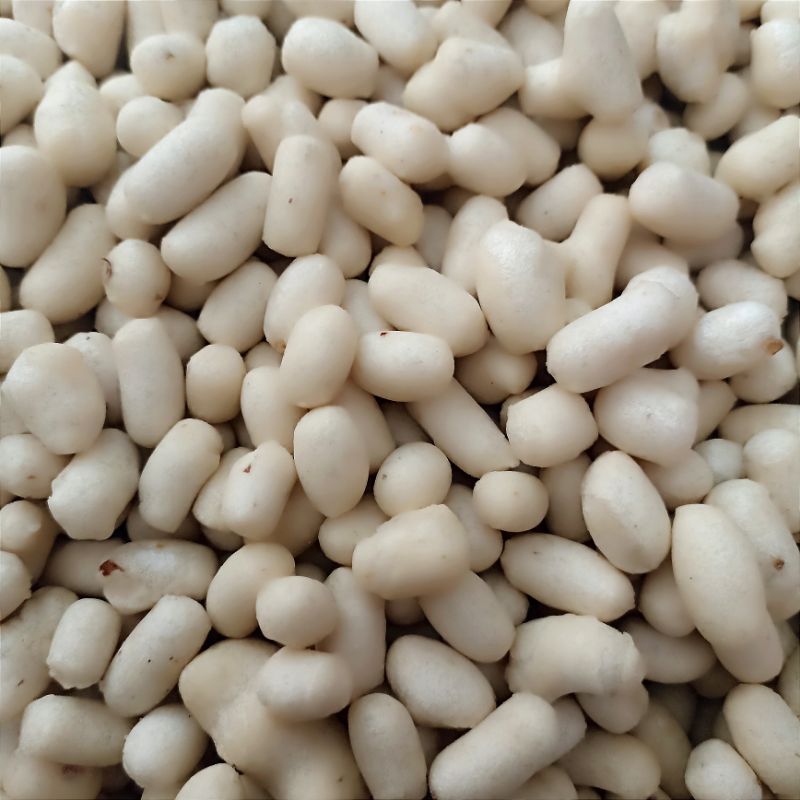 

Pilur Cikur Rasa Kencur 250 Gram