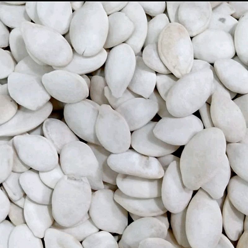 

Kwaci Putih/Kuaci Putih Biji Labu (pumpkin seed) 500gram