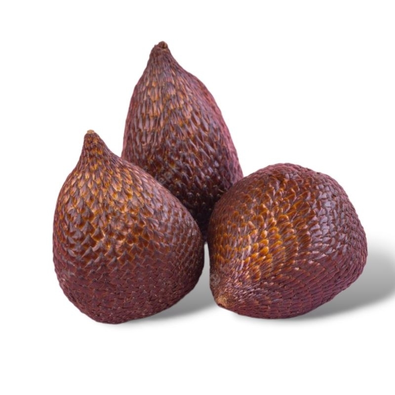 Replika buah salak  /  Mainan anak / Edukasi anak / Dekorasi meja makan / Display Restaurant Hotel D