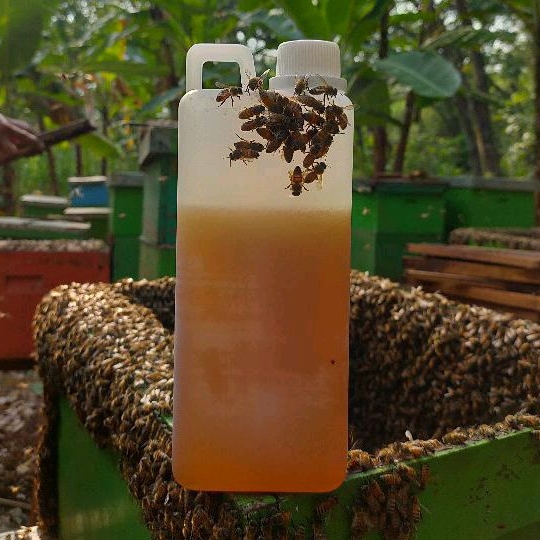 

LEBAHMADU id - MADU ASLI TANPA PROSES 1000gr /1kg