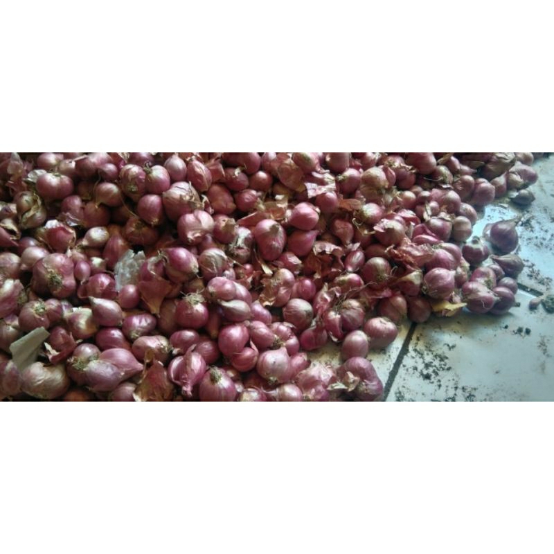 

Bawang merah lokal 1kg