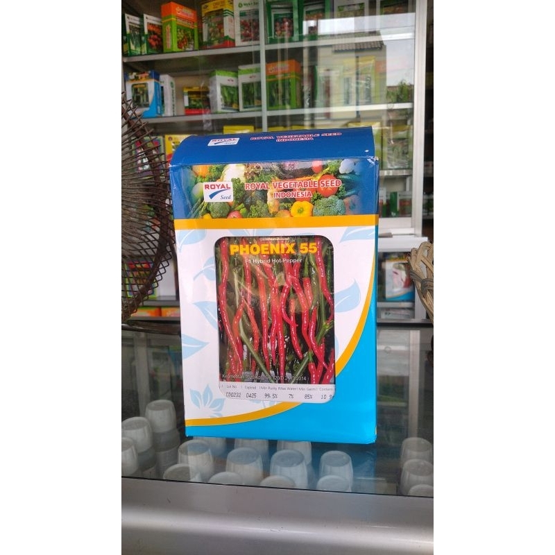 BENIH CABE MERAH KERITING VARIETAS PHOENIX 55 | 10 GRAM