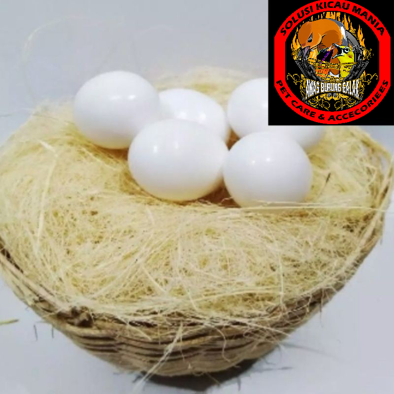 SERAT NANAS SARANG BURUNG KENARI