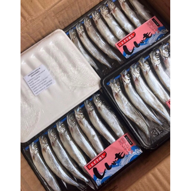 

READY STOCK IKAN SHISAMO/IKAN CIPUNG. BISA AMBIL SENDIRI KE DAERAH JAGABAYA