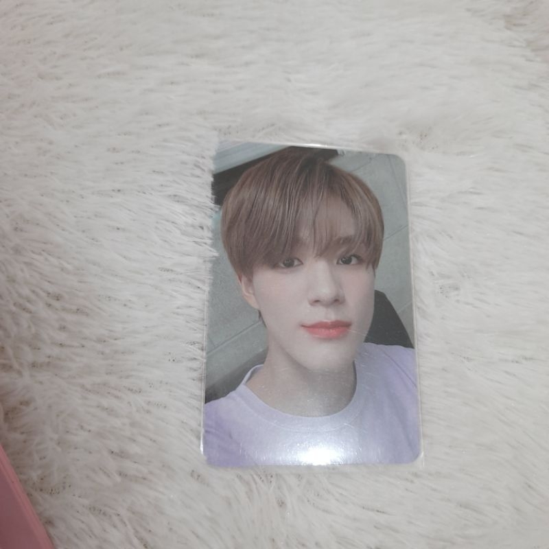 jeno candylab photocard v1 selca